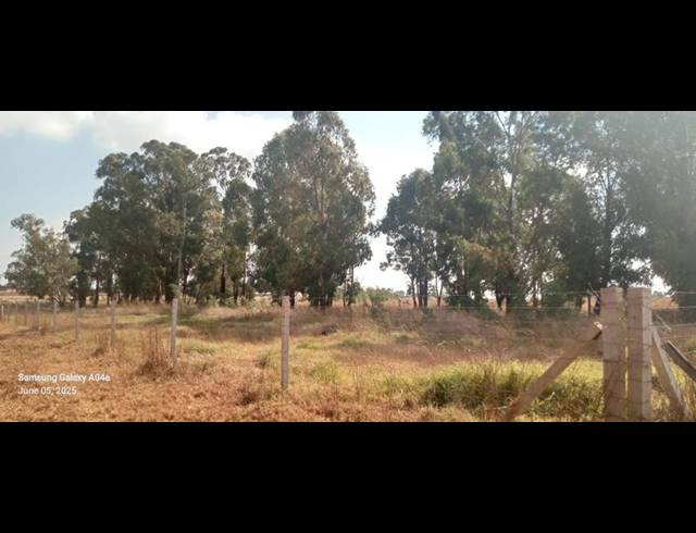 LAND FOR SALE IN ELOFF